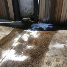 Dumpster pad cleaning 1