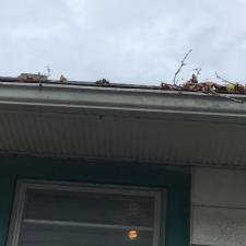 Gutter cleaning 1