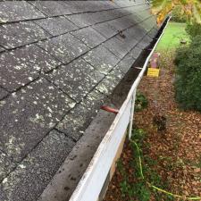 Gutter cleaning 2