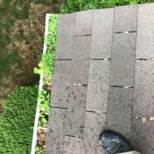 Gutter cleaning 5